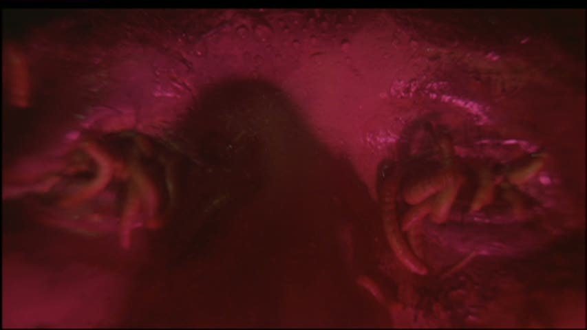 photo102.jpg