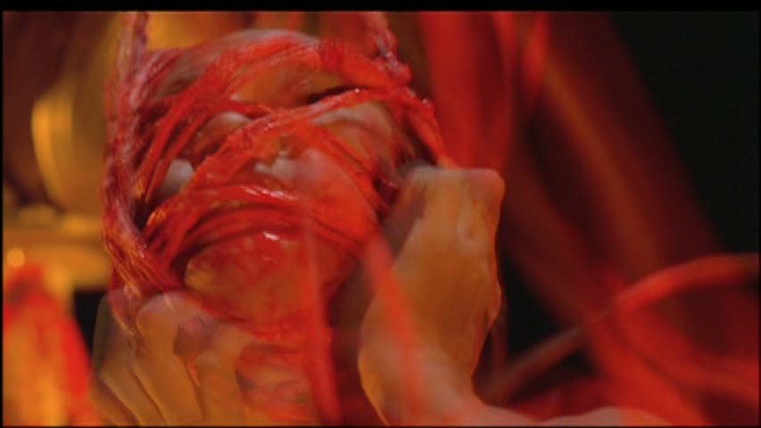 photo66.jpg