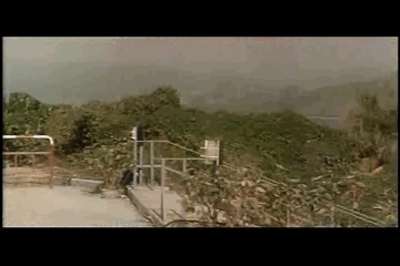 Surprise!